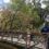 Brookside School Pedestrian Bridge – Ribbon Cutting!